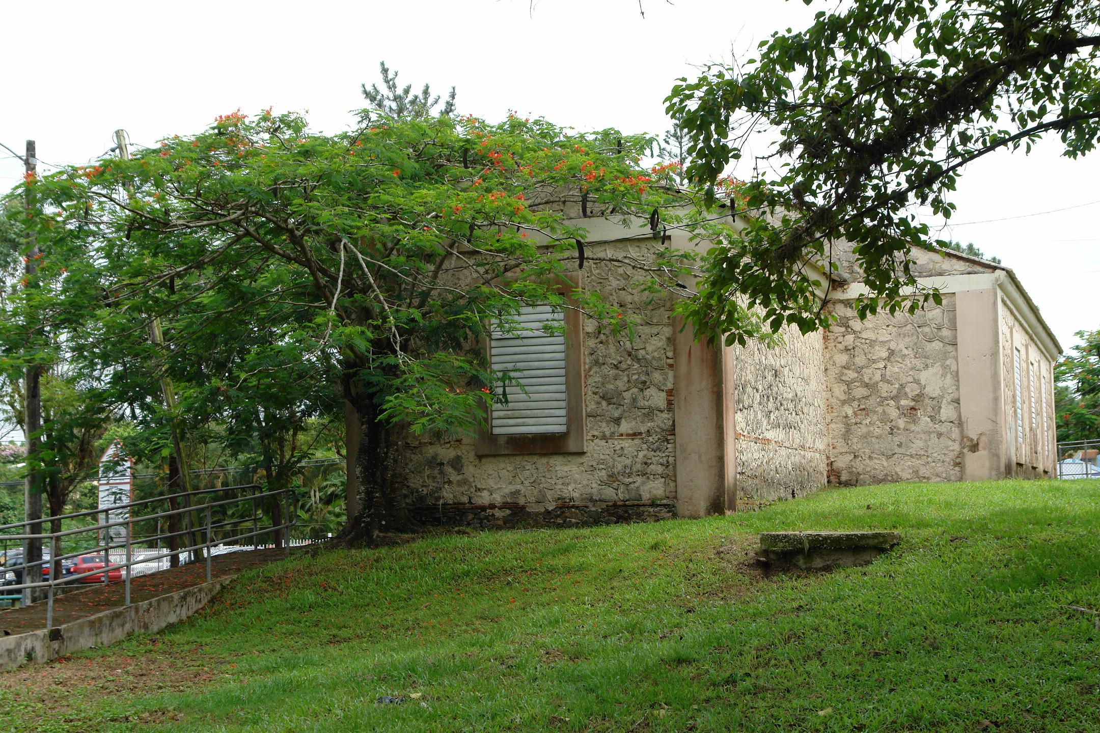 FDI - Aibonito - 2010 00044